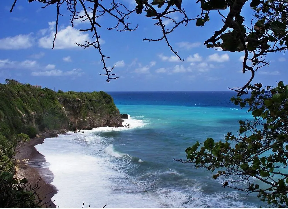 The View At Mystic Ridge Penthouse 78A Apartment Ocho Rios