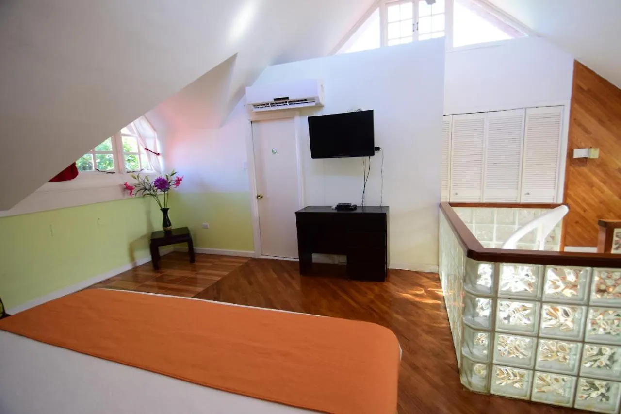 The View At Mystic Ridge Penthouse 78A Apartamento Ocho Rios